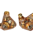 Trifecta 'Amber Radiance'